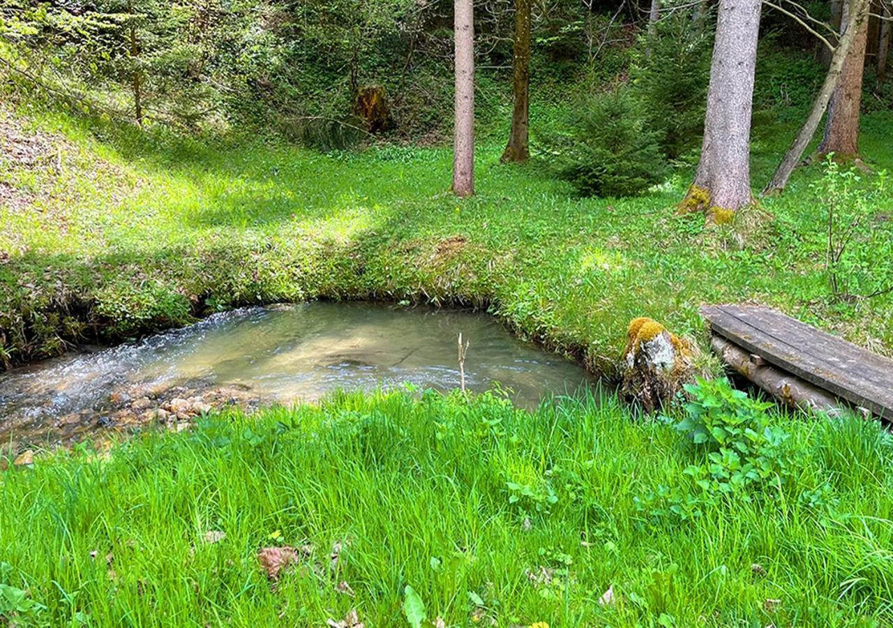 Apartments Fiore Am Naturschwimmbad! Puch  Bagian luar foto